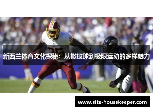 新西兰体育文化探秘：从橄榄球到极限运动的多样魅力