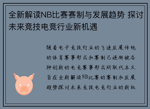 全新解读NB比赛赛制与发展趋势 探讨未来竞技电竞行业新机遇
